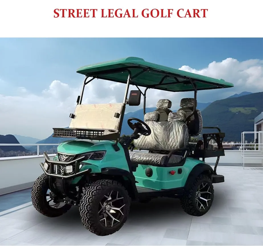 14 Inch Aluminum Wheels off Road Golf Carts 2 4 6 Seater Electric Lifted Hunting Golf Cart