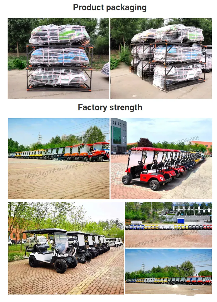 2024 Brand Design 4 6 Seat Sightseeing Bus Club Cart 48V/72V Lithium Battery Electric Golf Buggy Hunting Cart