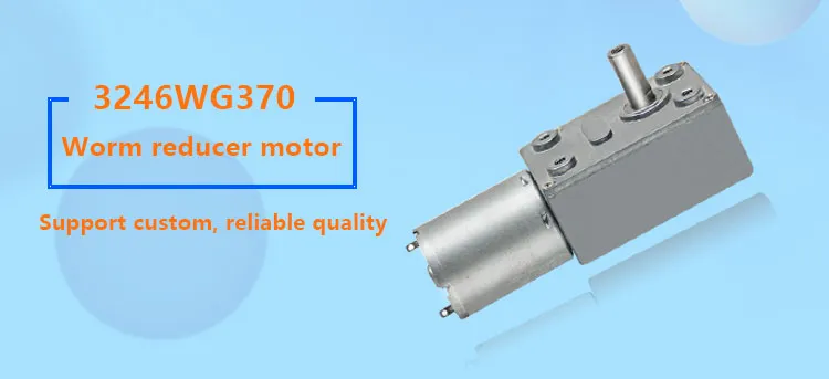 3246wg370 12 Volt DC Worm Gear Motor RS370 Brushed DC Electric Gear Motor with Screw Hole Shaft