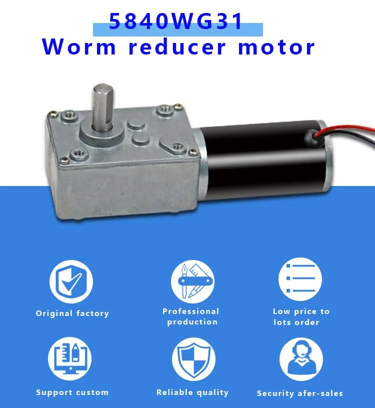 5840wg31 Micro DC Gear Motor 12V 24V 80kg 100kg Brushed DC Worm Gear Tubular Motor with Encoder