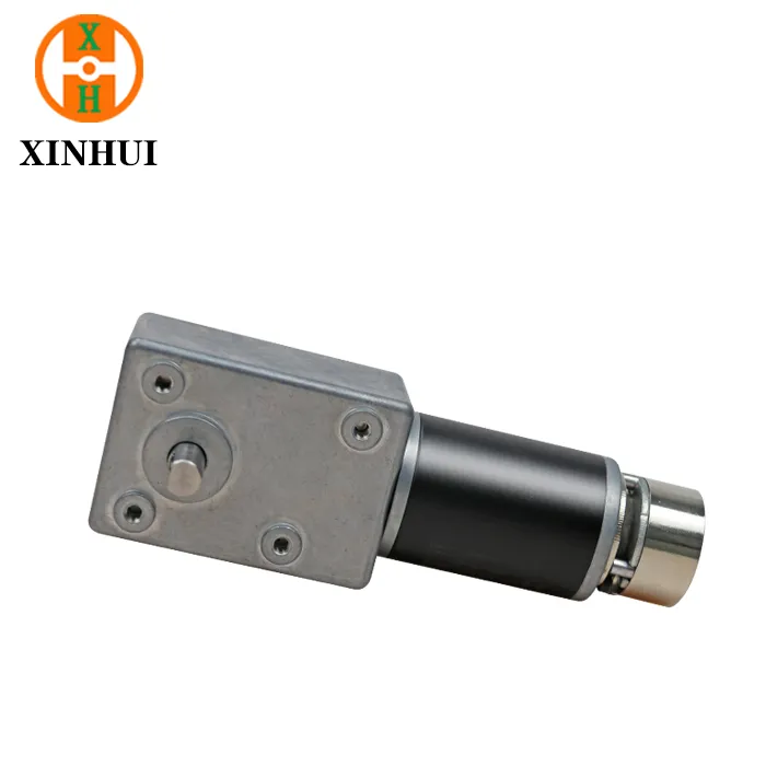 Xinhui DC Worm Gearmotor 5882wg4575 Electrical DC Brushed Worm Gear Motor with High Torque 50kg 100kg