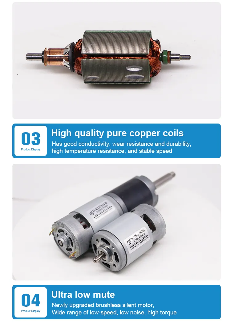 Custom RS 555 PMDC Motor Pg36 DC Gearmotor Brushes 36mm Planetary Electric Gear Motor for Massage Chair