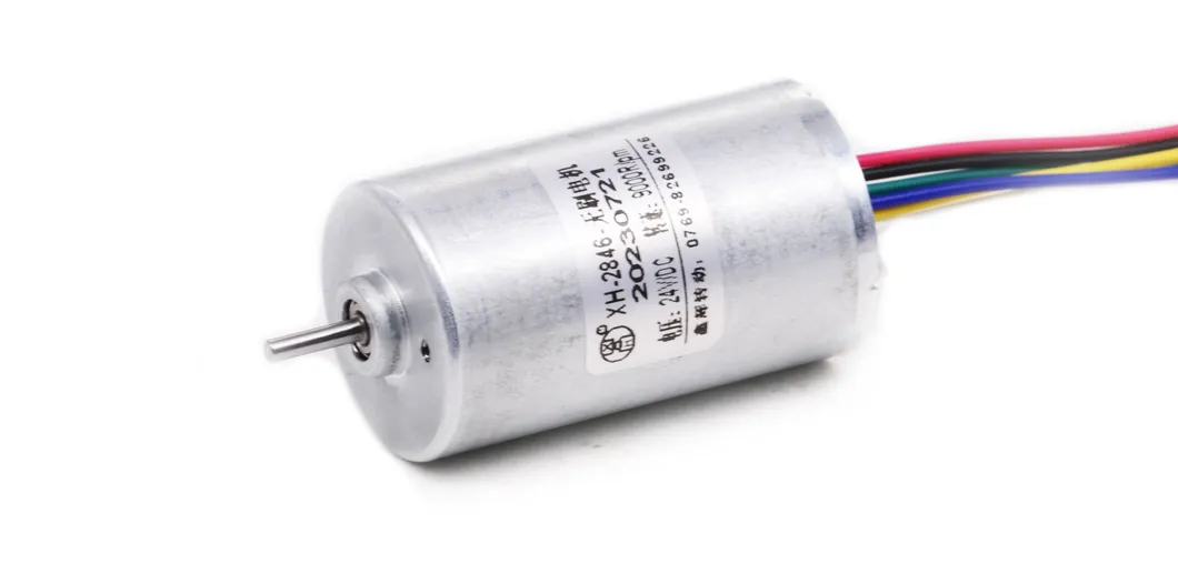 2430bl Electric BLDC Motor 24mm 5W 10W 12V 24V DC Brushless Motor for Electric Toy