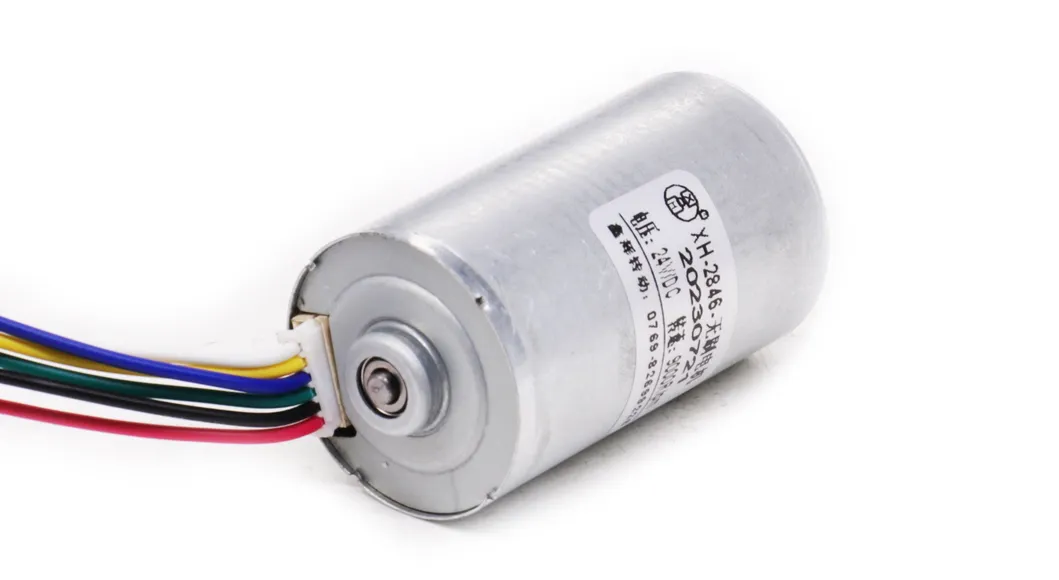 2430bl Electric BLDC Motor 24mm 5W 10W 12V 24V DC Brushless Motor for Electric Toy