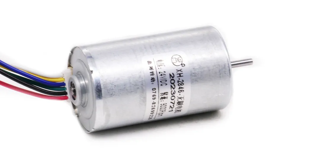 24mm Diameter Micro Fan Brushless Motor 12V 24V 36V BLDC 2430bl Mini Electric DC Motor with Ball Bearings