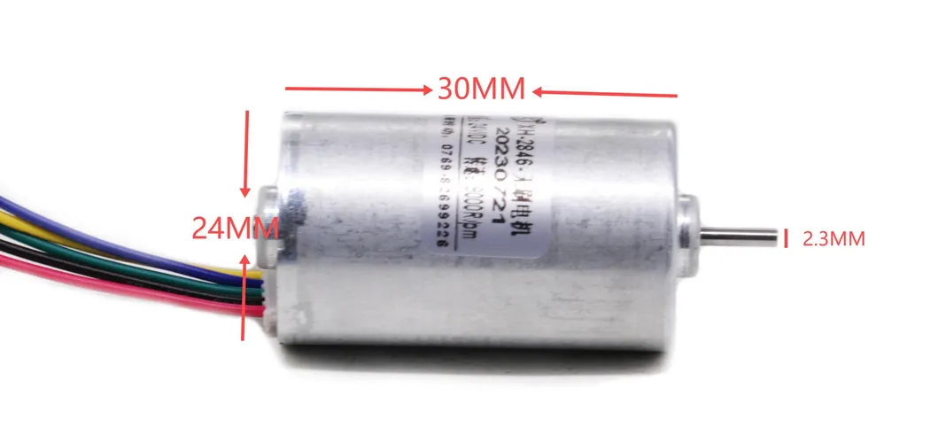 24mm Diameter Micro Fan Brushless Motor 12V 24V 36V BLDC 2430bl Mini Electric DC Motor with Ball Bearings