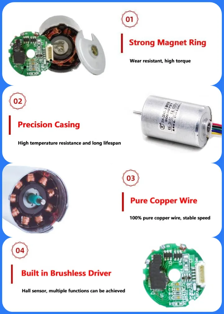 24mm Diameter Micro Fan Brushless Motor 12V 24V 36V BLDC 2430bl Mini Electric DC Motor with Ball Bearings