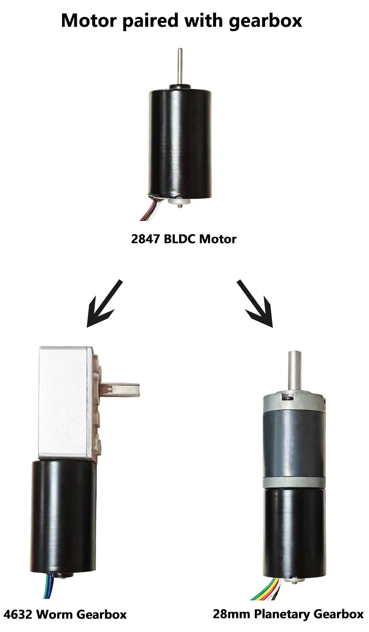 2847bl Electric BLDC Motor 28mm Diameter 12V DC Brushless Motor with Ball Bearings