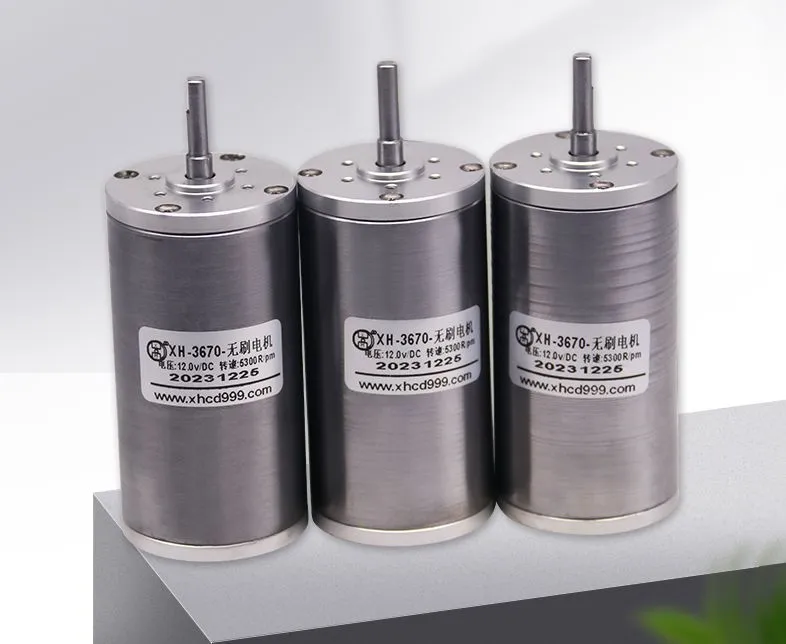 3670bl High Power 36mm Diameter BLDC Motor 12V 24V 36V Brushless Electric DC Bike Motor for Toy