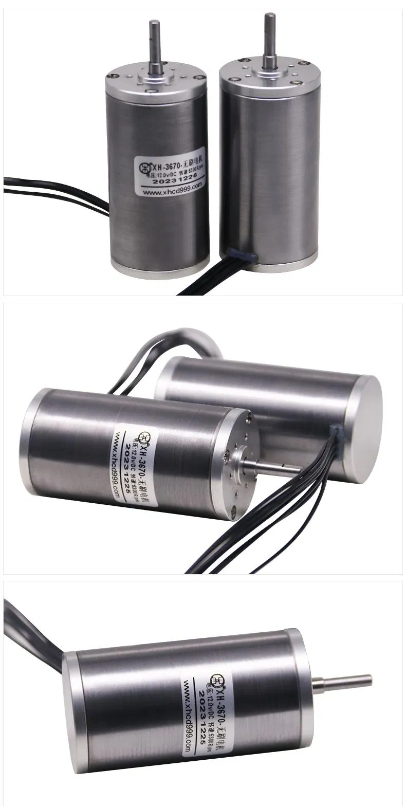 3670bl High Power 36mm Diameter BLDC Motor 12V 24V 36V Brushless Electric DC Bike Motor for Toy