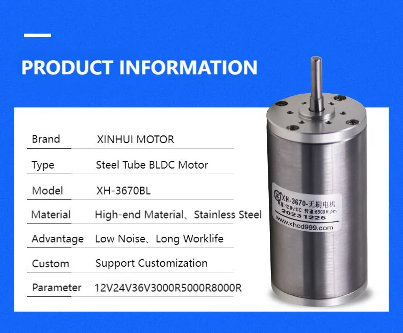 36mm Diameter 3670bl High Power Ball Bearings 12V 24V DC Brushless Electric Bike Motor with Controller