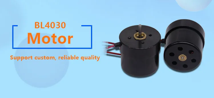 4030bl 12V 24V Brushless DC Mini Motor 40mm Diameter BLDC Electric DC Motor for Household Application