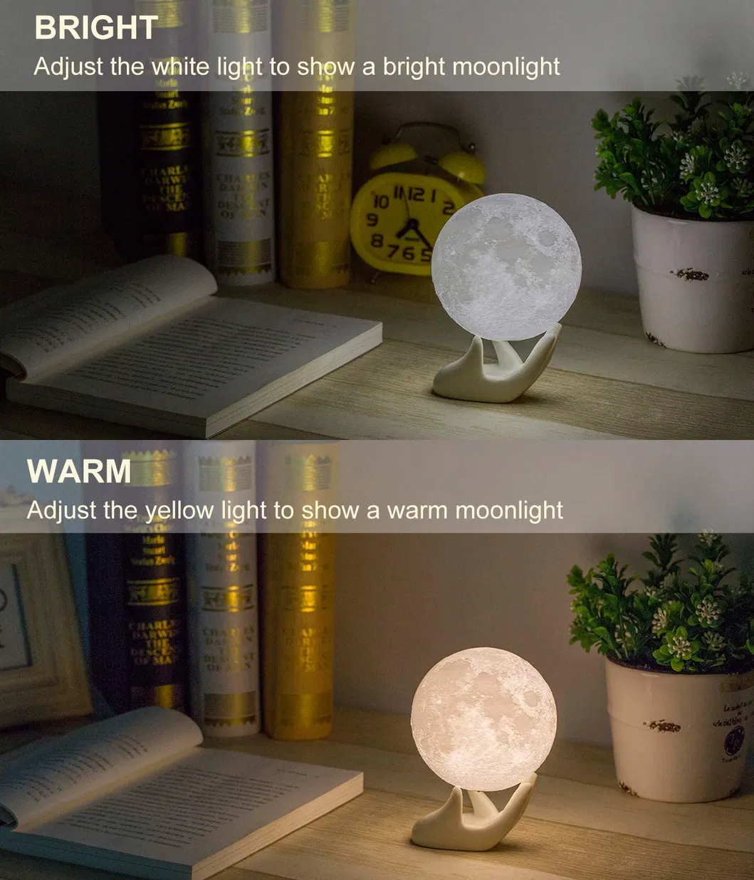 3D Moon Night Light with White Hand Stand 2 Color