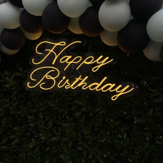 12V Decorative LED Neon Light Sign Happy Birthday Neon Sign