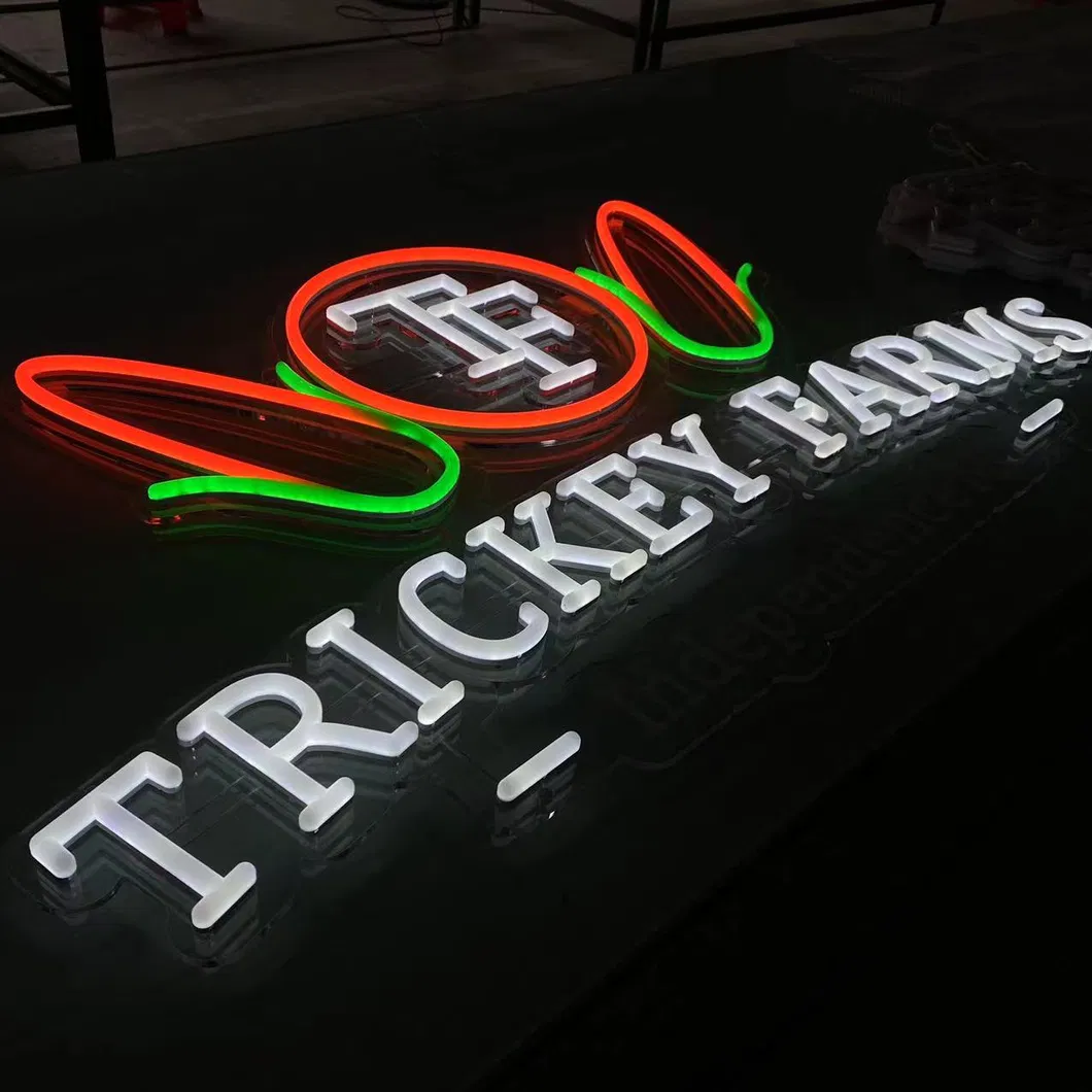 Acrylic Neon with Full LED Illumination Storefront Business Signboard