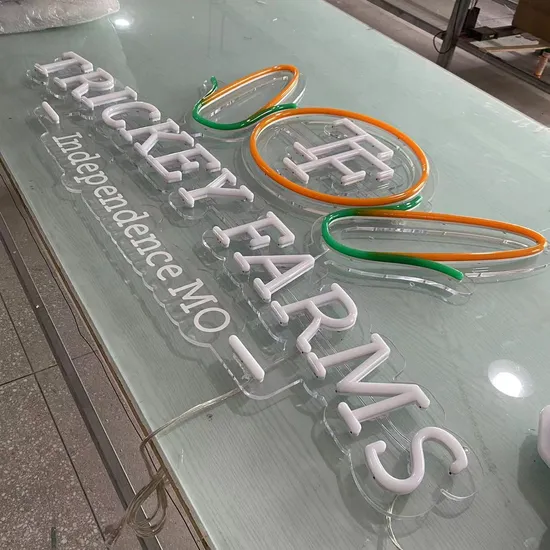 Acrylic Neon with Full LED Illumination Storefront Business Signboard