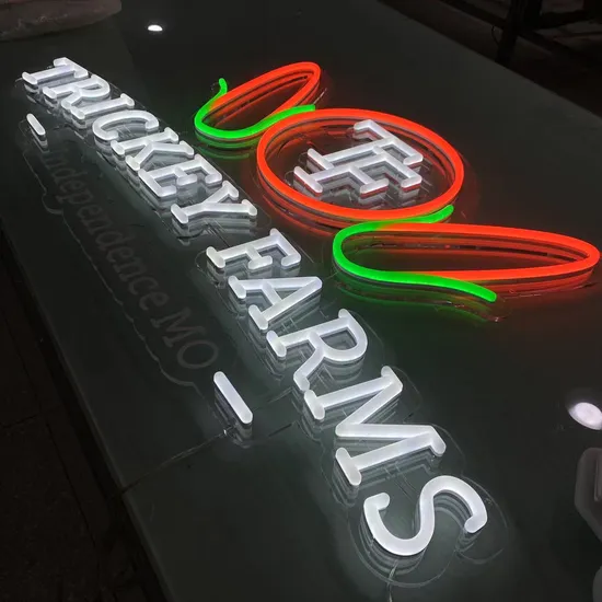 Acrylic Neon with Full LED Illumination Storefront Business Signboard