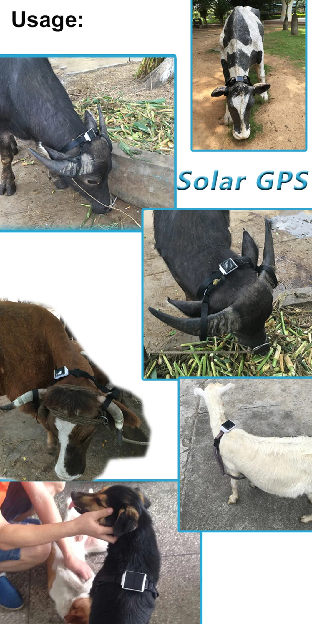 China Factory 4G IP67 Waterproof Solar Power Charged GPRS Long Working Hours Animals Pets Tracker GPS Tracking Device V24