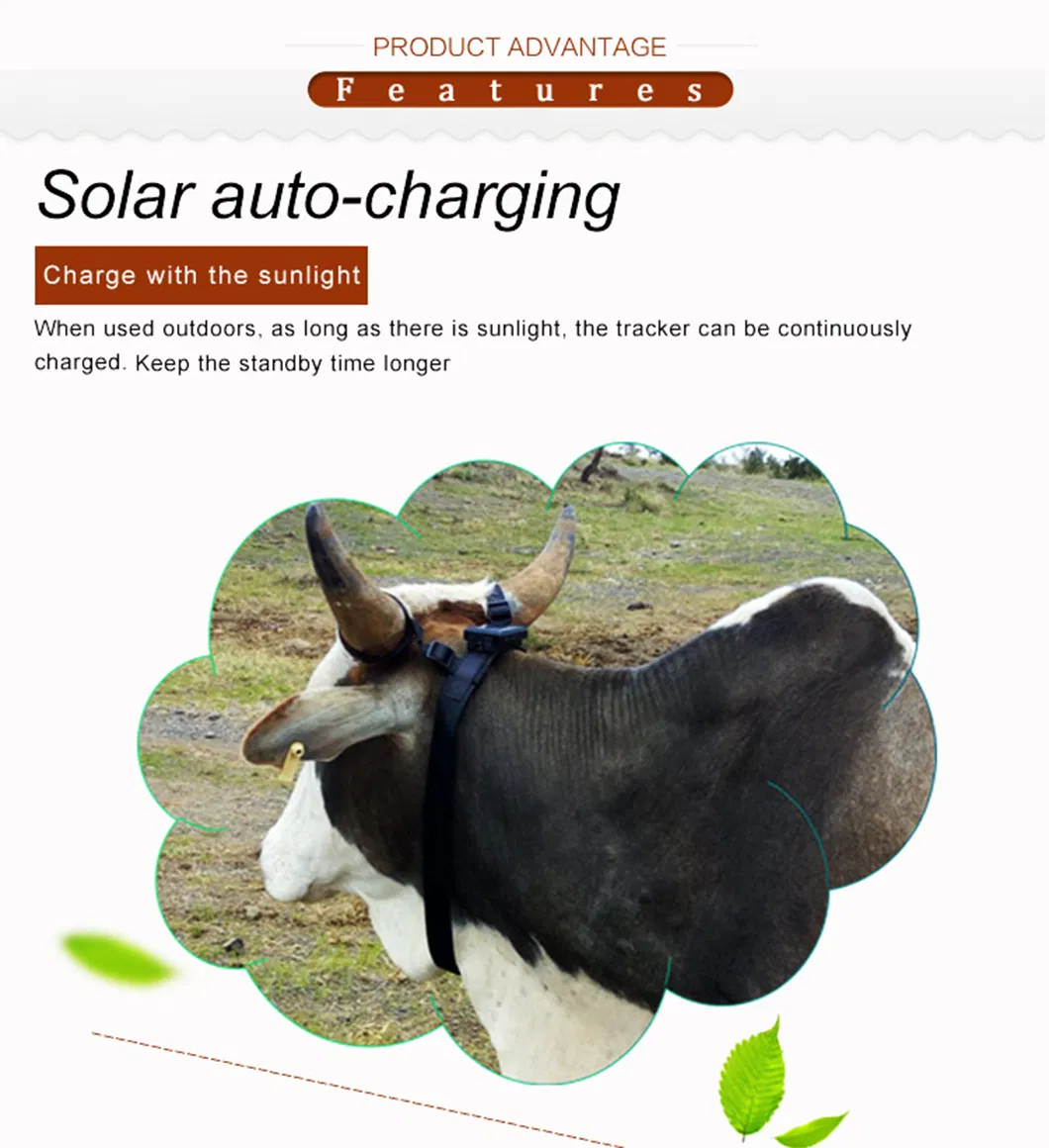 China Factory 4G IP67 Waterproof Solar Power Charged GPRS Long Working Hours Animals Pets Tracker GPS Tracking Device V24