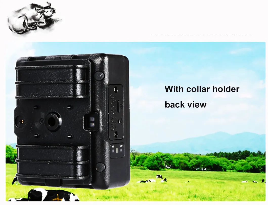 China Factory 4G IP67 Waterproof Solar Power Charged GPRS Long Working Hours Animals Pets Tracker GPS Tracking Device V24