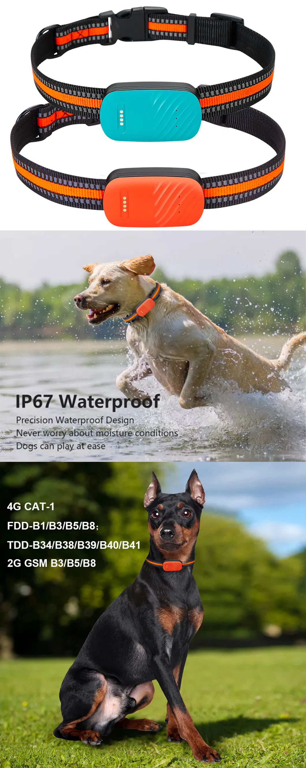 Factory OEM latest waterproof 4G pet tracker GPS with collar free mobile APP for dog cat animal real time tracking Y33