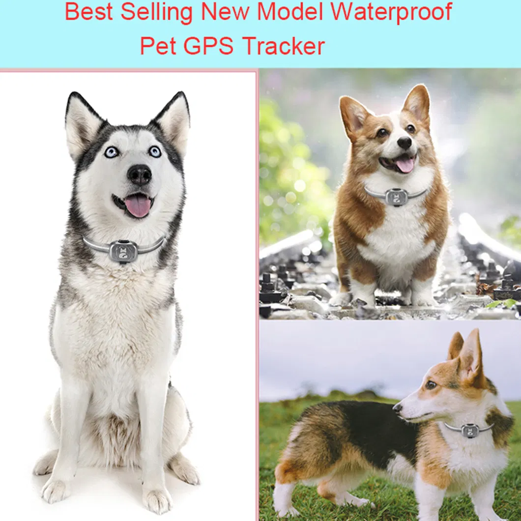 Factory wholesale 2G Waterproof IP67 Smart Tracker GPS for dog cats pets with GEO-Fence alerts Y32