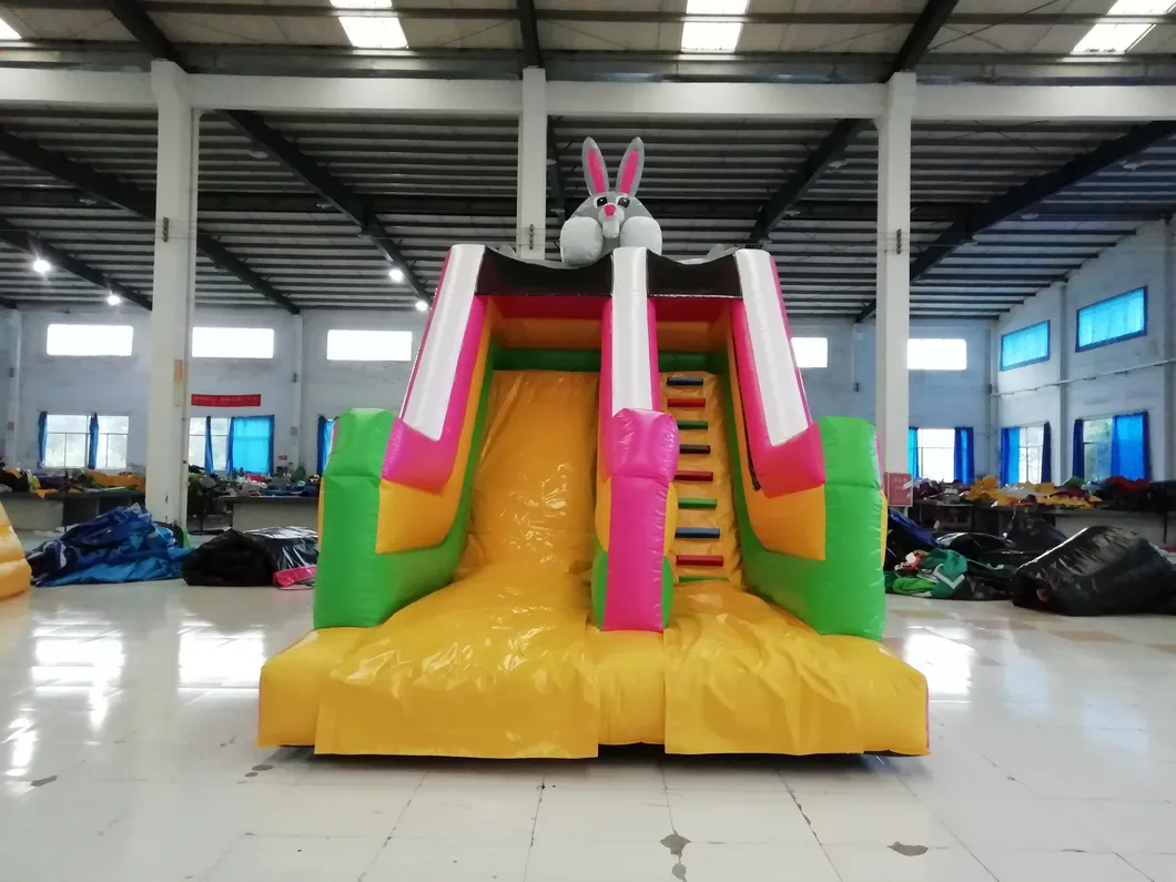 2019 Arrived Slide Inflatable Kids Indoor Playground Equipment (AQ09155)