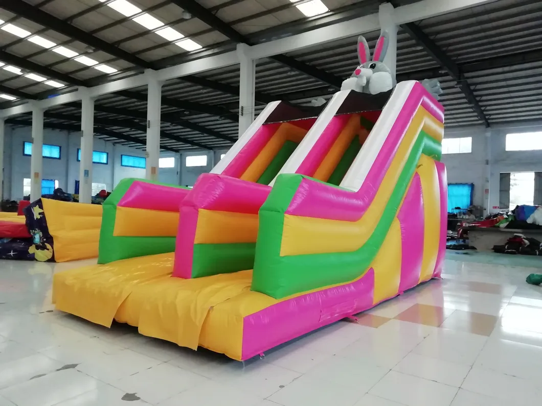 2019 Arrived Slide Inflatable Kids Indoor Playground Equipment (AQ09155)