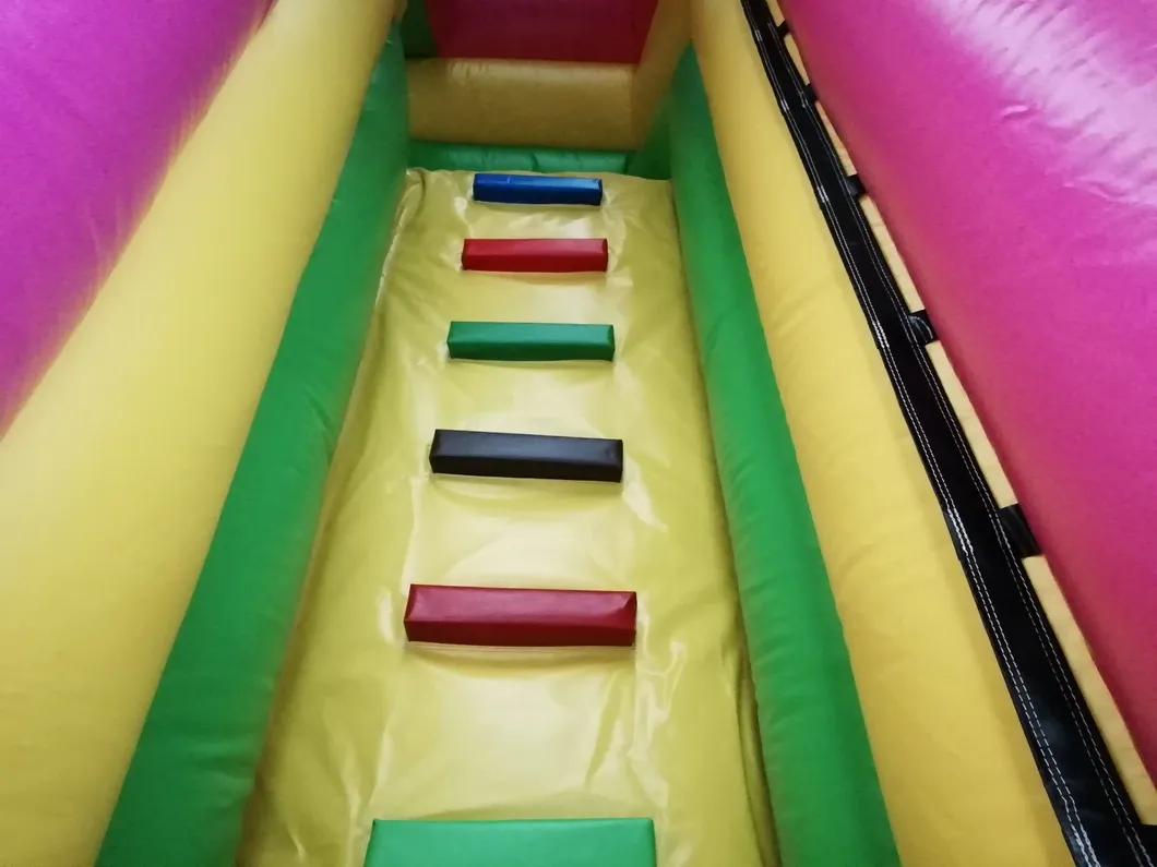 2019 Arrived Slide Inflatable Kids Indoor Playground Equipment (AQ09155)