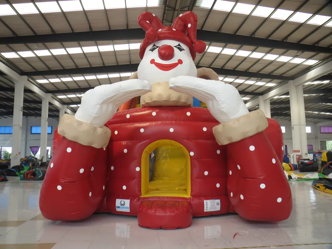 8 Meters High Lovely Clown Inflatable Slide (AQ121)