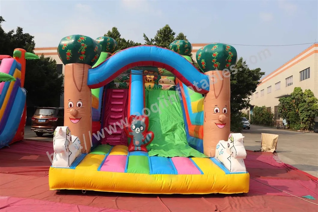 Amusement Park Inflatable Bouncer Castle Inflatable Bouncer Slide (AQ09244)