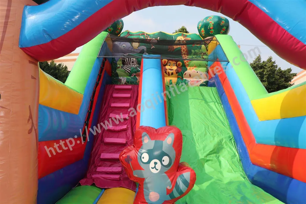 Amusement Park Inflatable Bouncer Castle Inflatable Bouncer Slide (AQ09244)