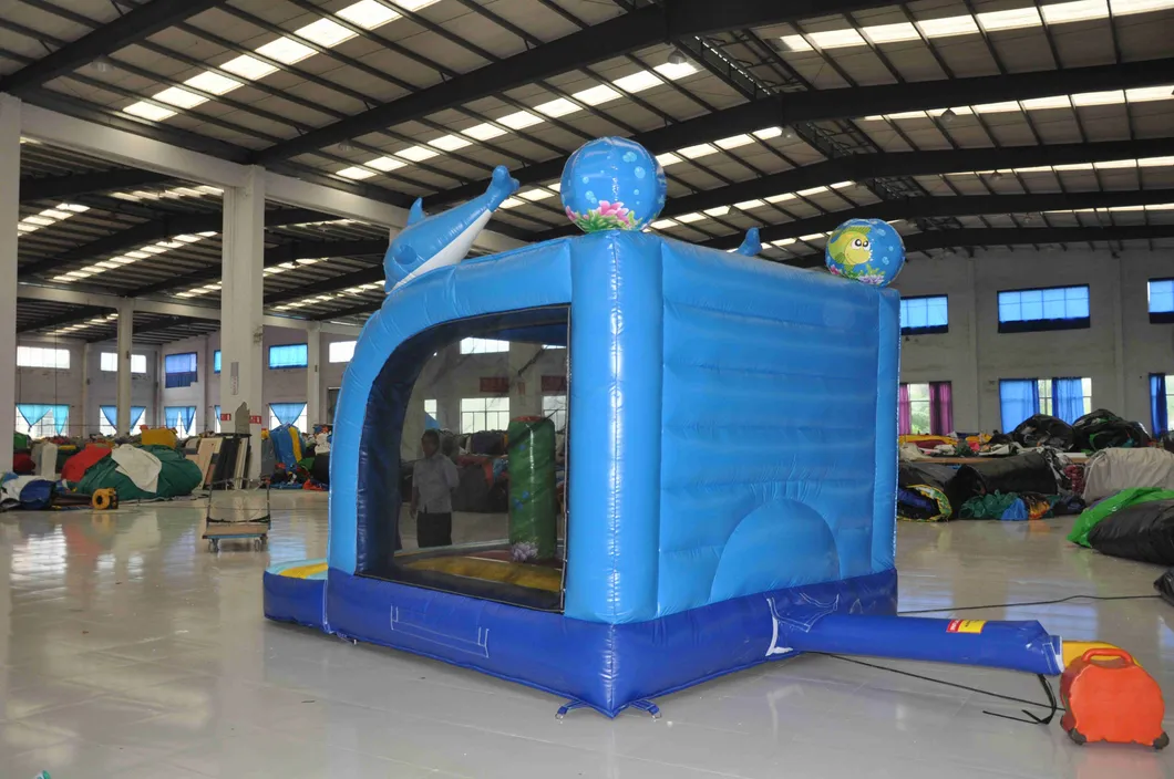 Amusement Park Ocean Jumping Inflatable Bouncer Toy for Sale (AQ01120)