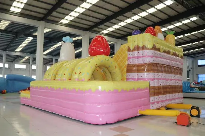 Aoqi Commercial Inflatable Water Slide with Tunnel and Pool