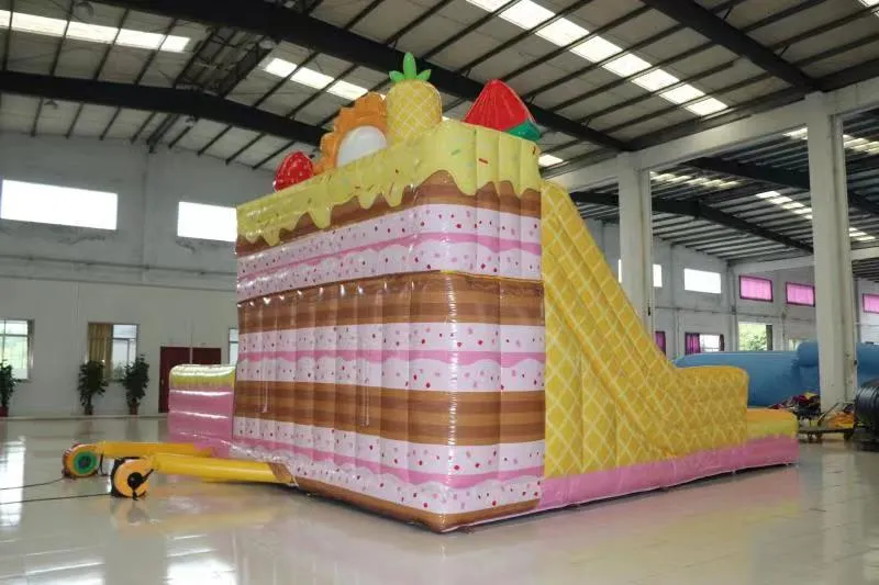 Aoqi Commercial Inflatable Water Slide with Tunnel and Pool