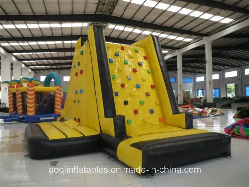 Aoqi Custom 60 Foot Inflatable Obstacle Course for Kids