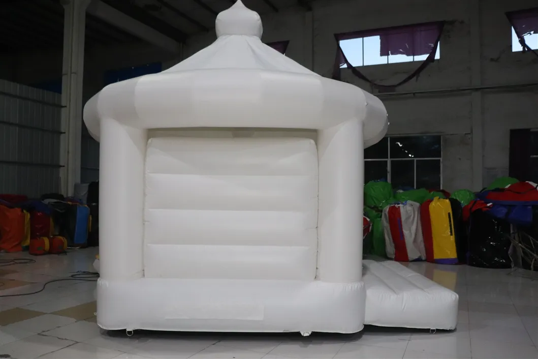 Aoqi Custom Heavy Duty Inflatable Bounce House for Sale