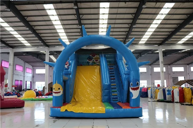 Aoqi Custom Ocean Inflatable Dry Slide for Children