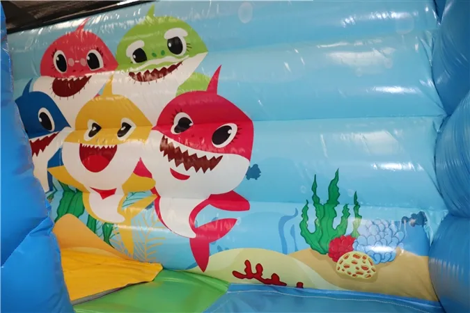 Aoqi Custom Ocean Inflatable Dry Slide for Children