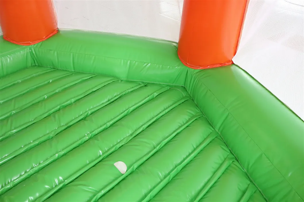 Aoqi Designed Bouncer Inflatable Jump N Slide House