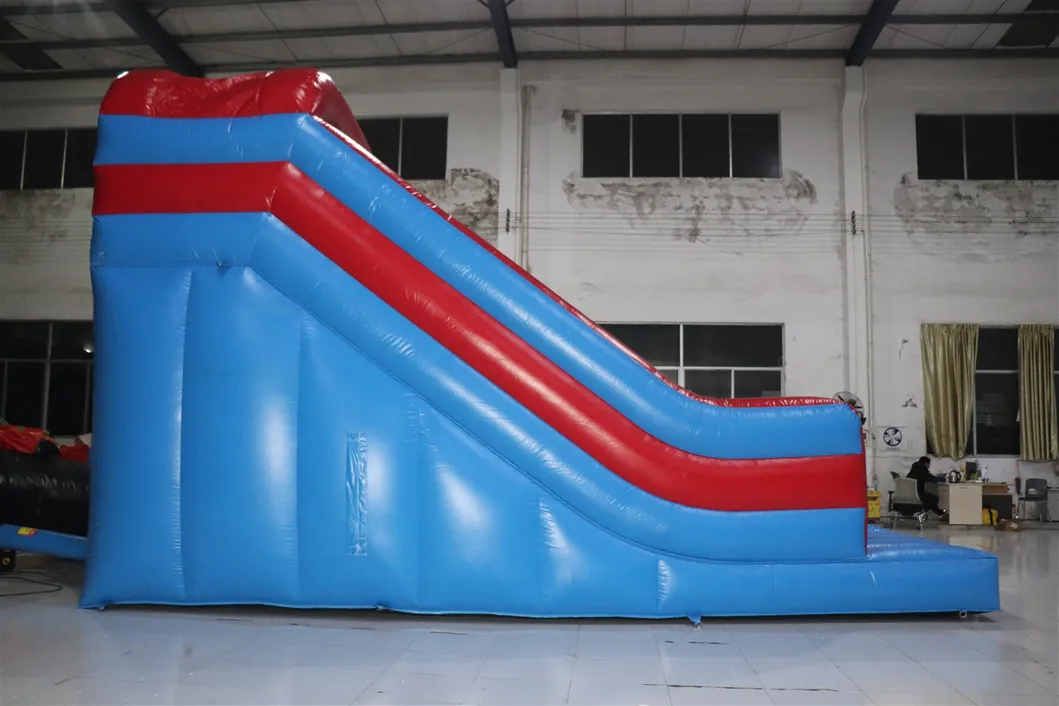 Aoqi Factory Inflatable Water Slide Indoor for Sale