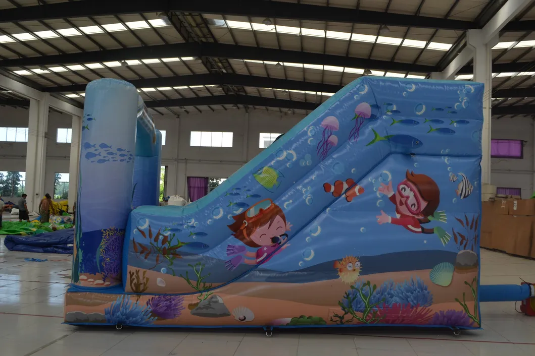 Aoqi Factory Price Animal Mini Double Inflatable Slide for Kids (AQ1223-1)