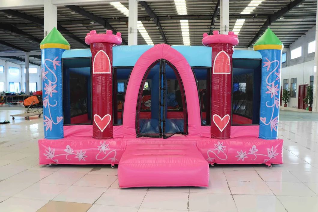 Aoqi Inflatable Castle Manufacturers Inflatable Jump House for Sale (AQ702-3)