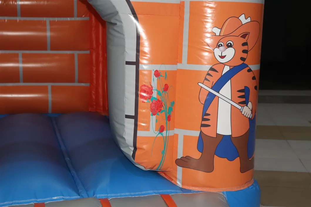 Aoqi Inflatable Jumping Castle Bounce for Kids (AQ564)