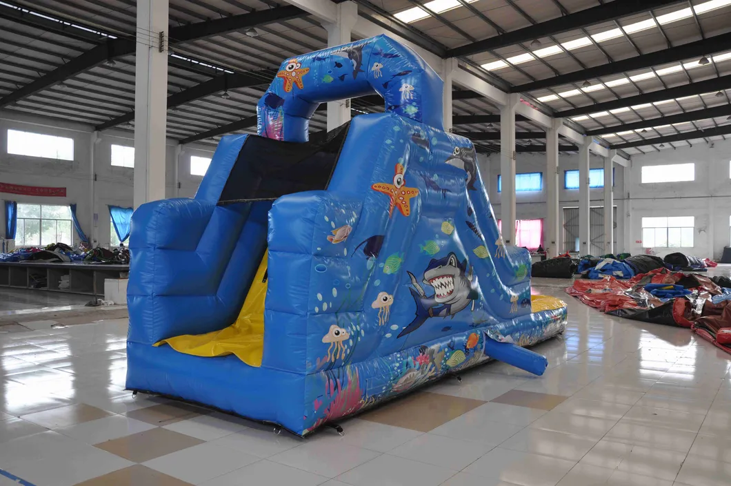 Beautiful Aquarium Inflatable Water Slide (AQ1249-1)