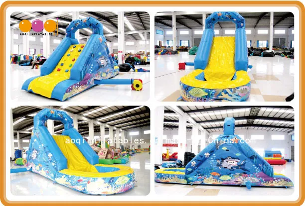 Beautiful Aquarium Inflatable Water Slide (AQ1249-1)