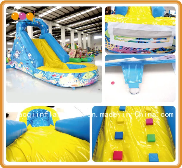 Beautiful Aquarium Inflatable Water Slide (AQ1249-1)