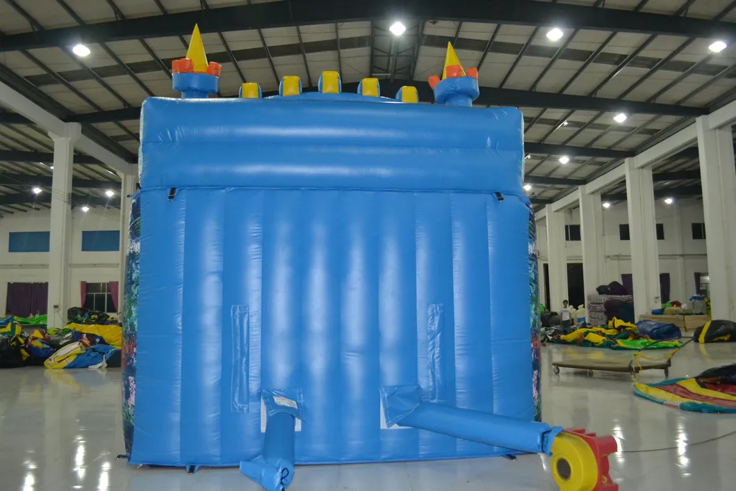 Big Sea Fort Inflatable Water Slide for Kid (AQ1081)