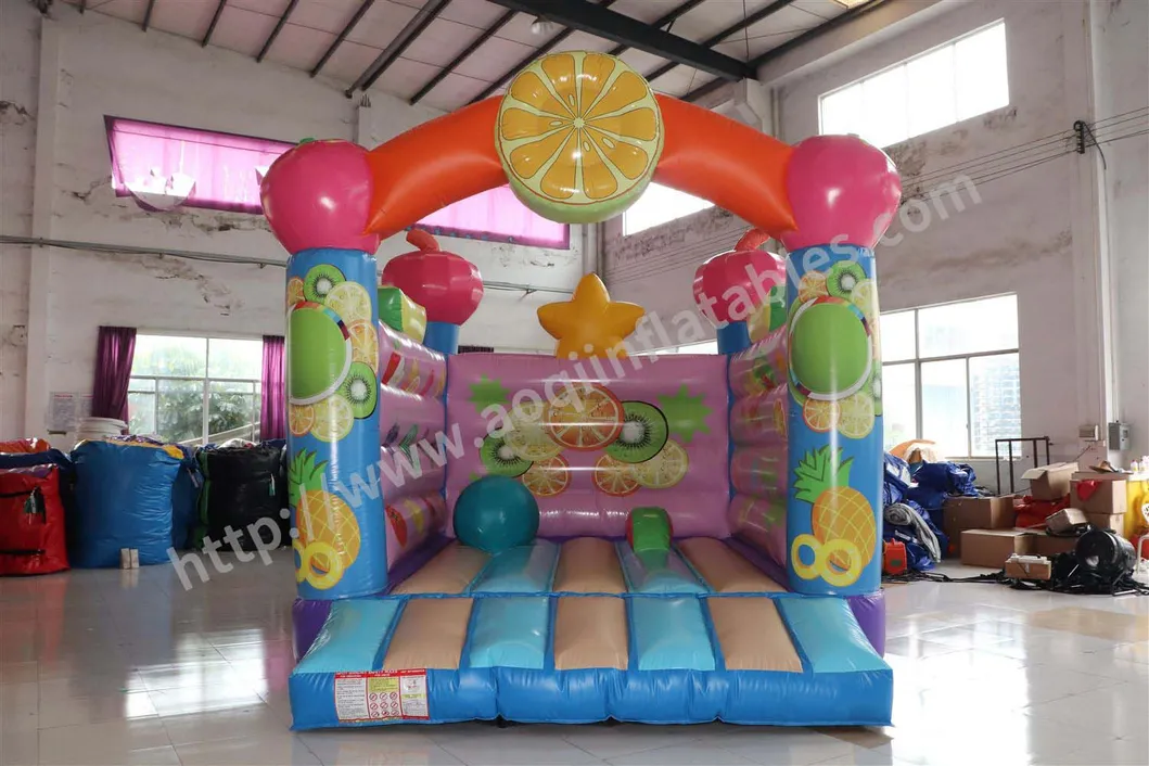 Birthday Party Decorations Inflatable Fruit Bouncer (AQ01531)