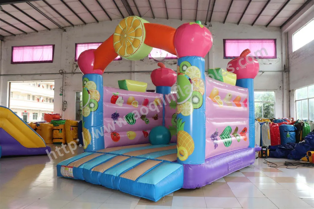 Birthday Party Decorations Inflatable Fruit Bouncer (AQ01531)